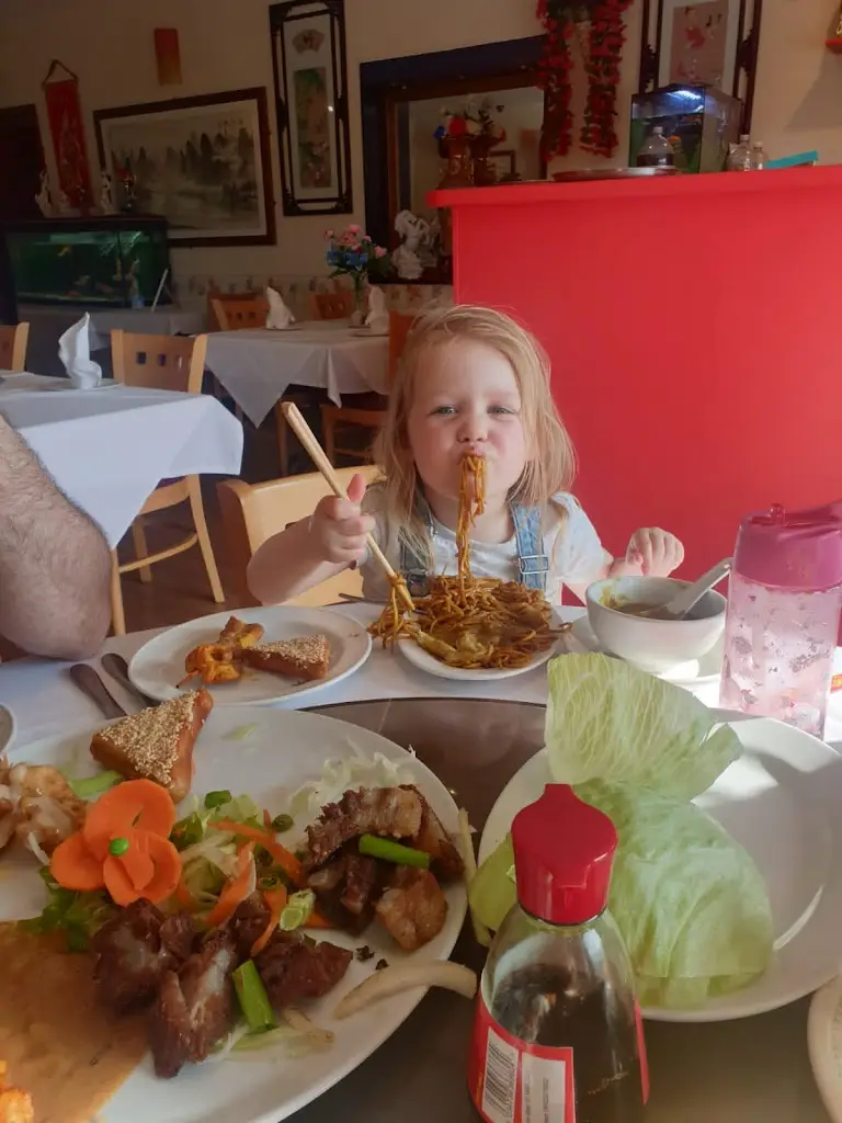 Dan Gibbins_Golden Wok Chinese Restaurant_Cowbridge_review