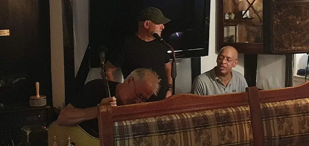 Vivian Hinds-Payne_Three Horseshoes_Dinas Powys_review