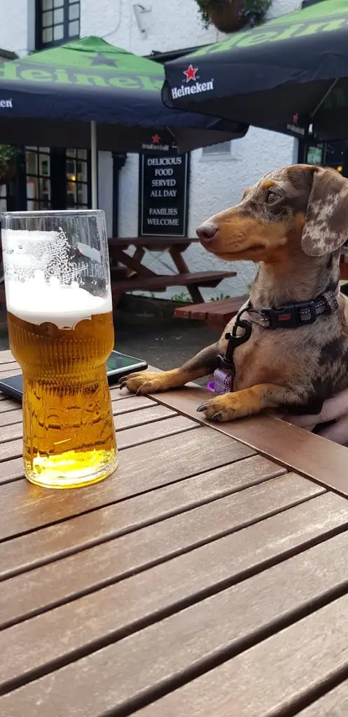 Menu_Cross Keys Dinas Powis_Dinas Powys_image_2