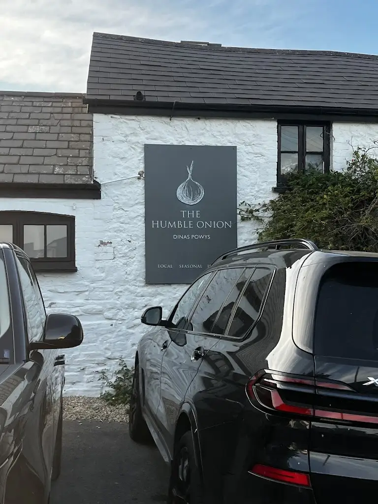 Travelling Doc_The Humble Onion_Dinas Powys_review