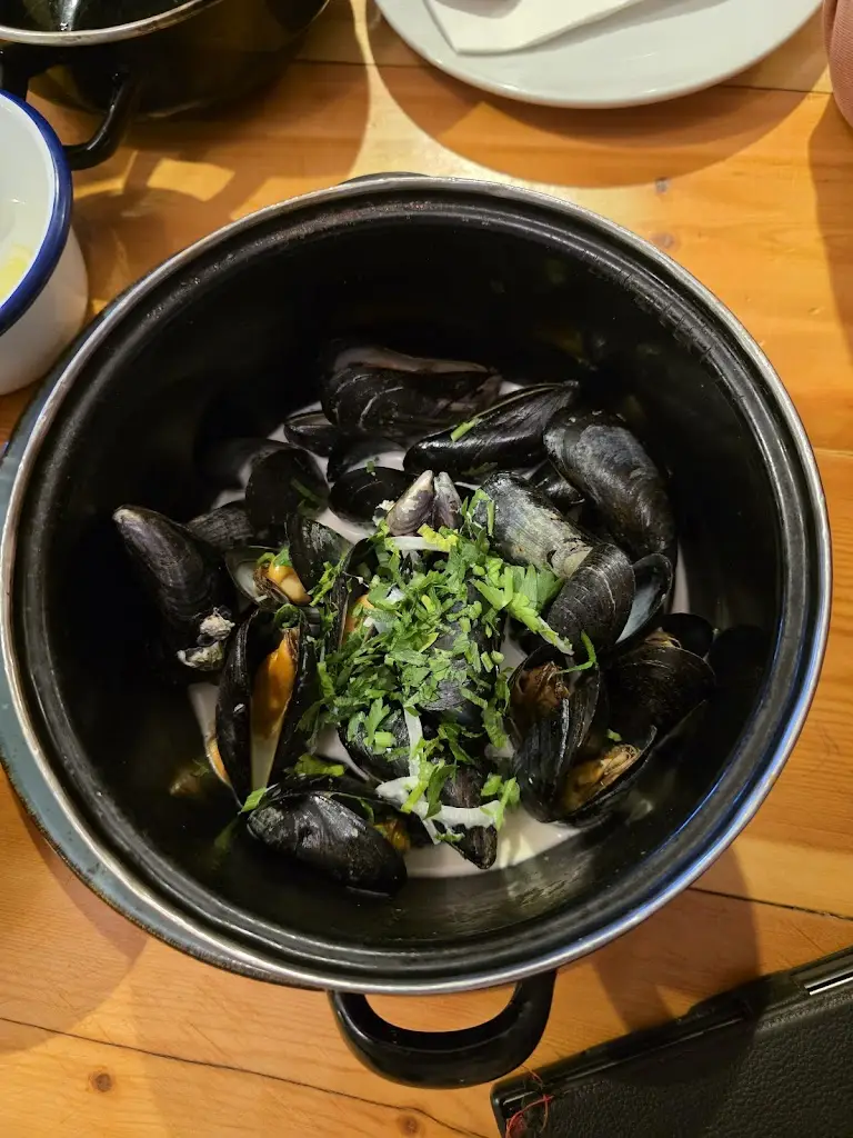 Caroline Loach _Dylan's Barmouth_Dyffryn Ardudwy_review