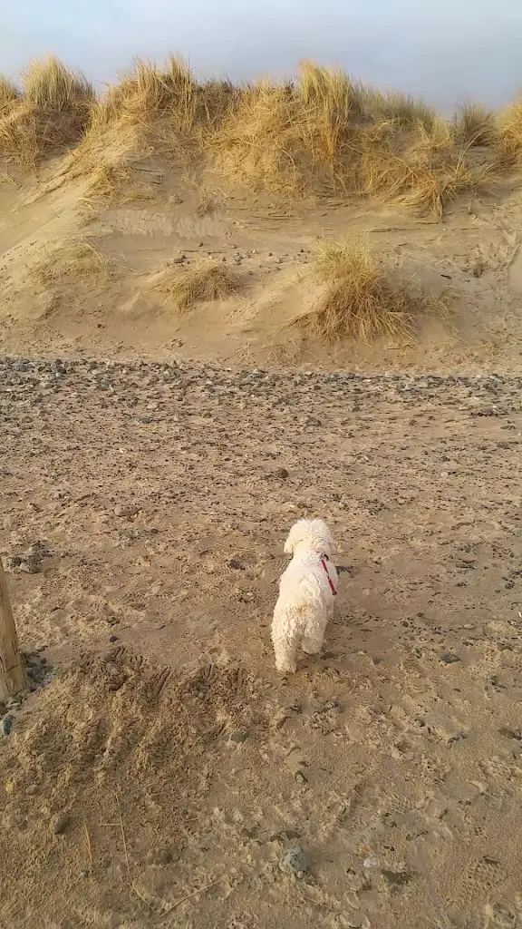 The Dyffryn Country Inn_Dyffryn Ardudwy_slider_image_2