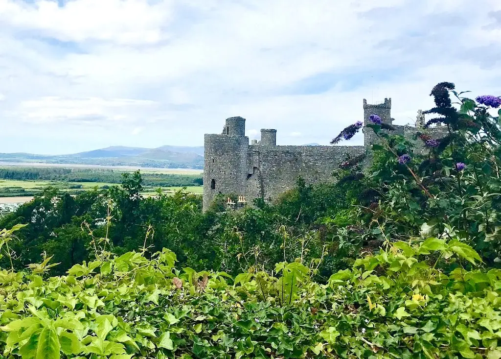 Anthony Esang_The Plas Restaurant_Dyffryn Ardudwy_review