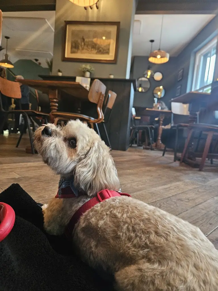 Klaudia Bruderek_The Barmouth Bar & Grill_Dyffryn Ardudwy_review