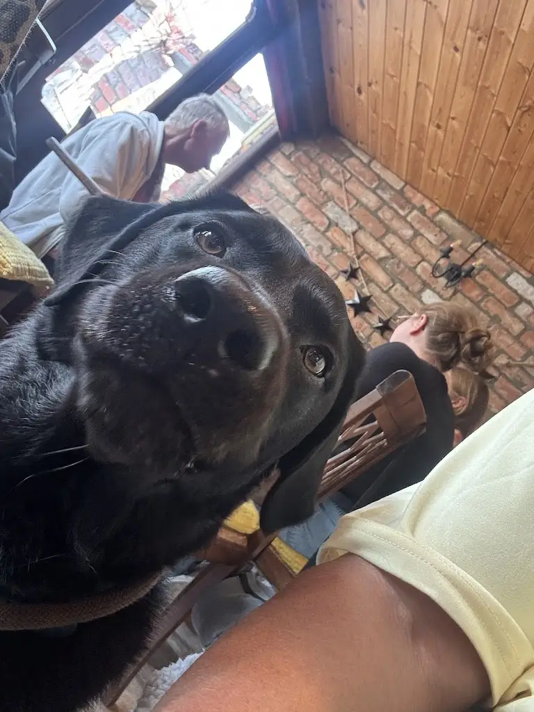 Nat Whyte_The Peppermill Conwy_Conwy_review