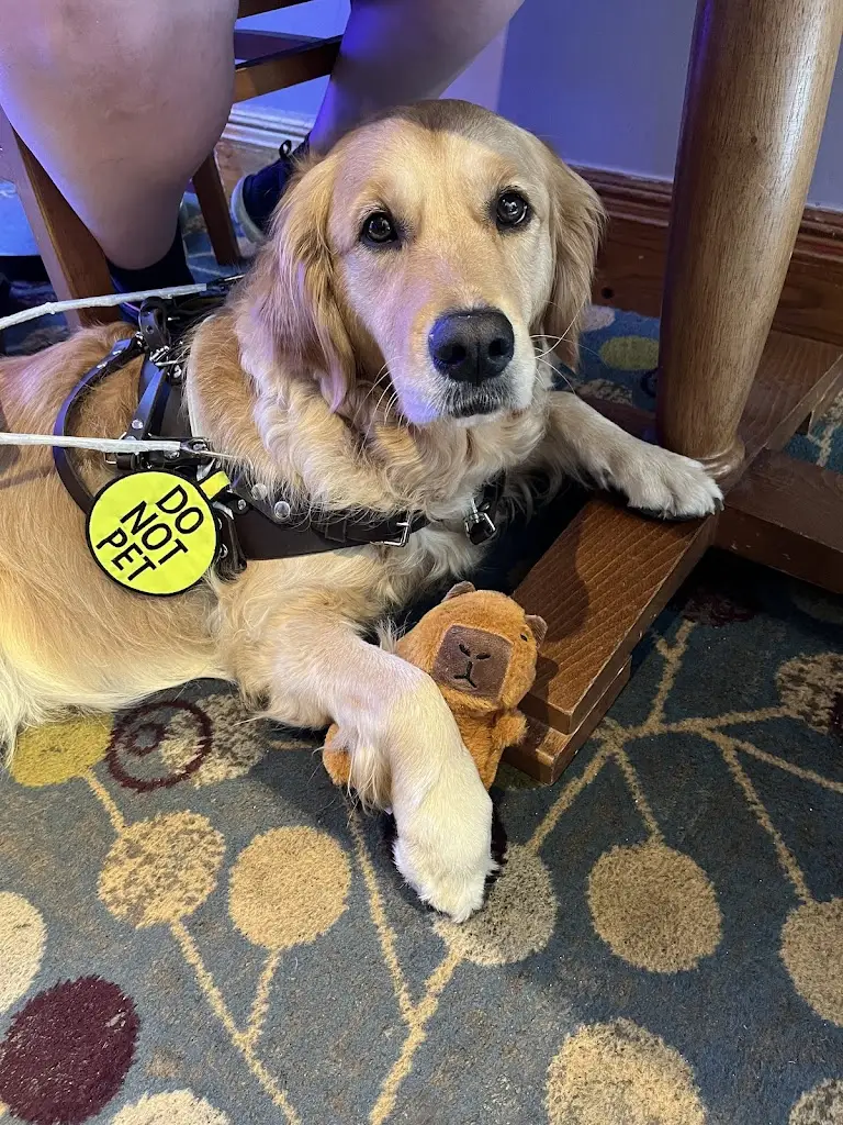 Donny tekkaz_Afon Conwy Brewers Fayre_Conwy_review