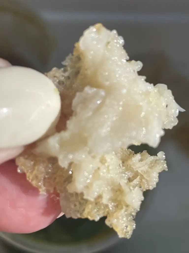 Menu_Woosey's Catch of Conwy_Conwy_image_7