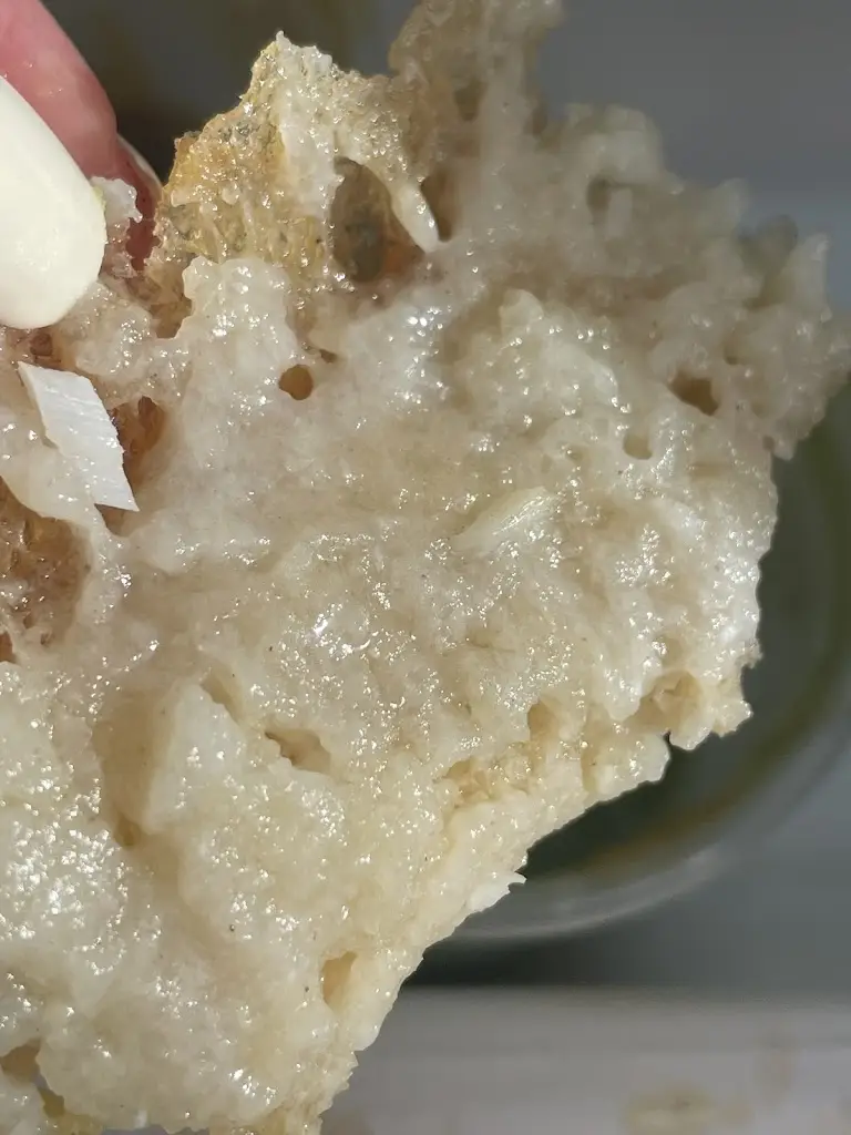 Menu_Woosey's Catch of Conwy_Conwy_image_9