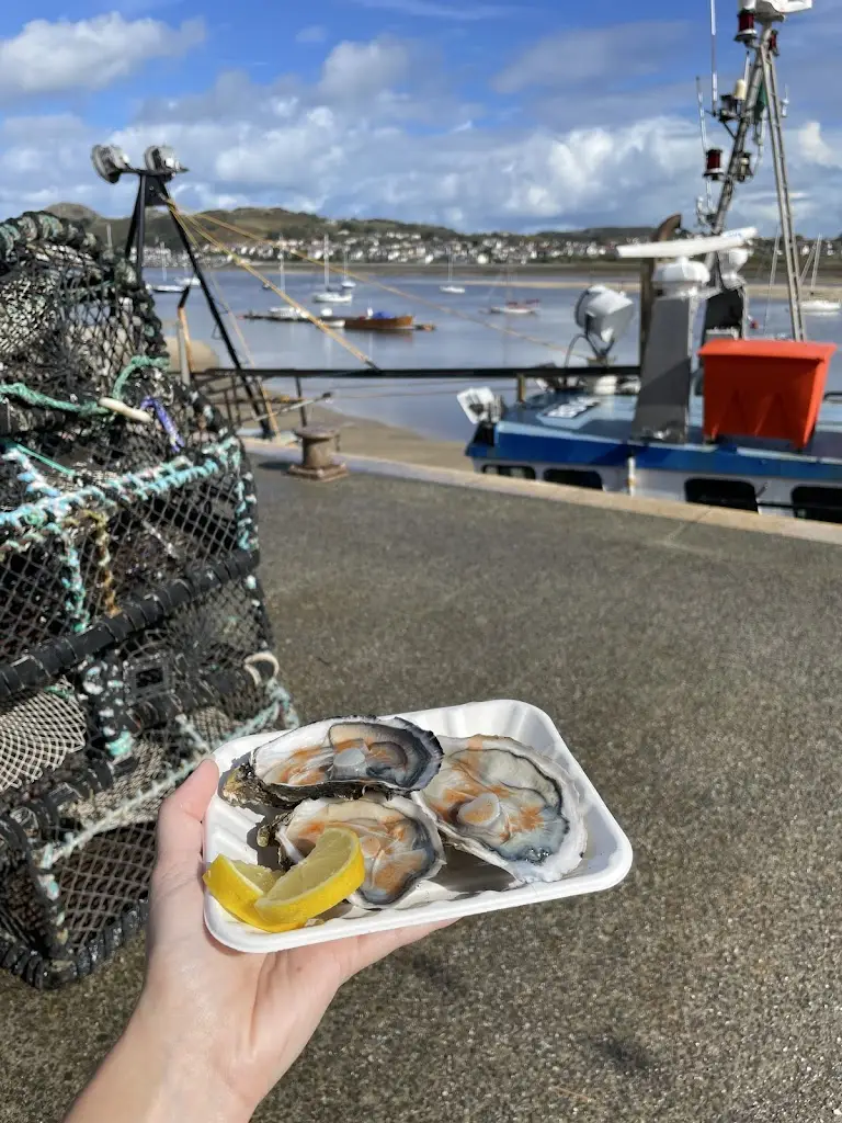 Lili Móra_Conwy Mussels Company_Conwy_review