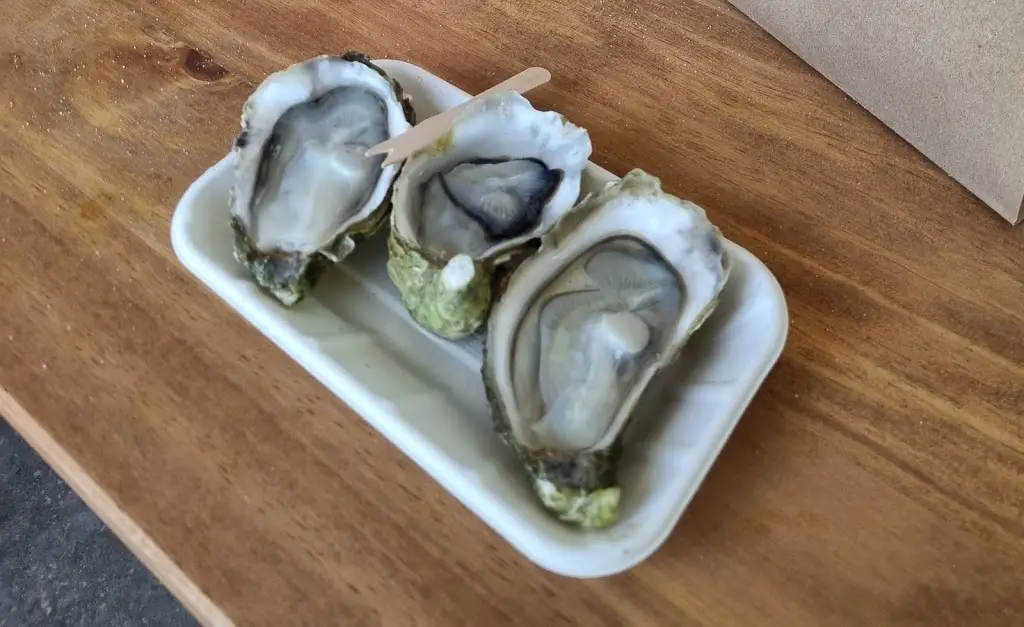 Alex Haas_Conwy Mussels Company_Conwy_review