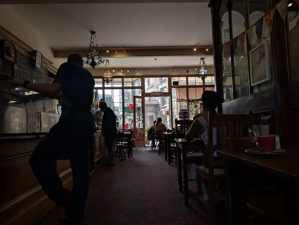 George Sawyer_TH Roberts_Dolgellau_review