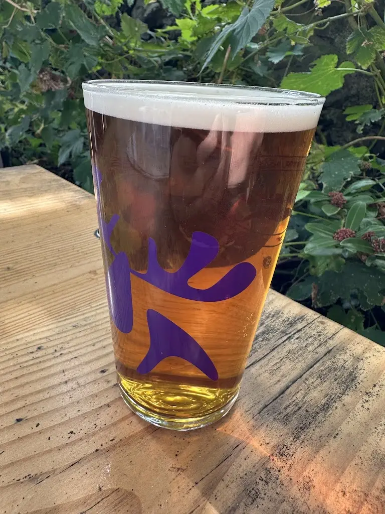 Lou Corris_Stag Inn_Dolgellau_review