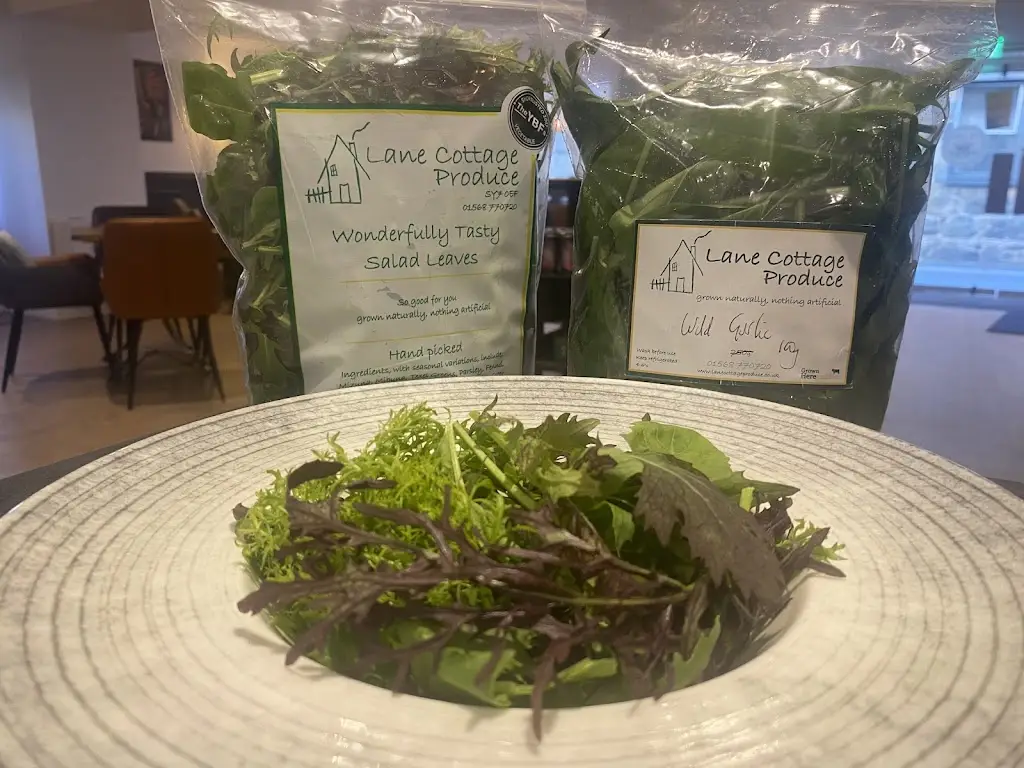 Menu_The Fork, Cork and Feathers_Dolgellau_image_9