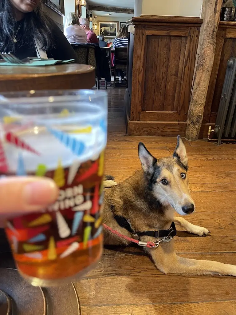 Jack Lynch_George III, Penmaenpool_Dolgellau_review