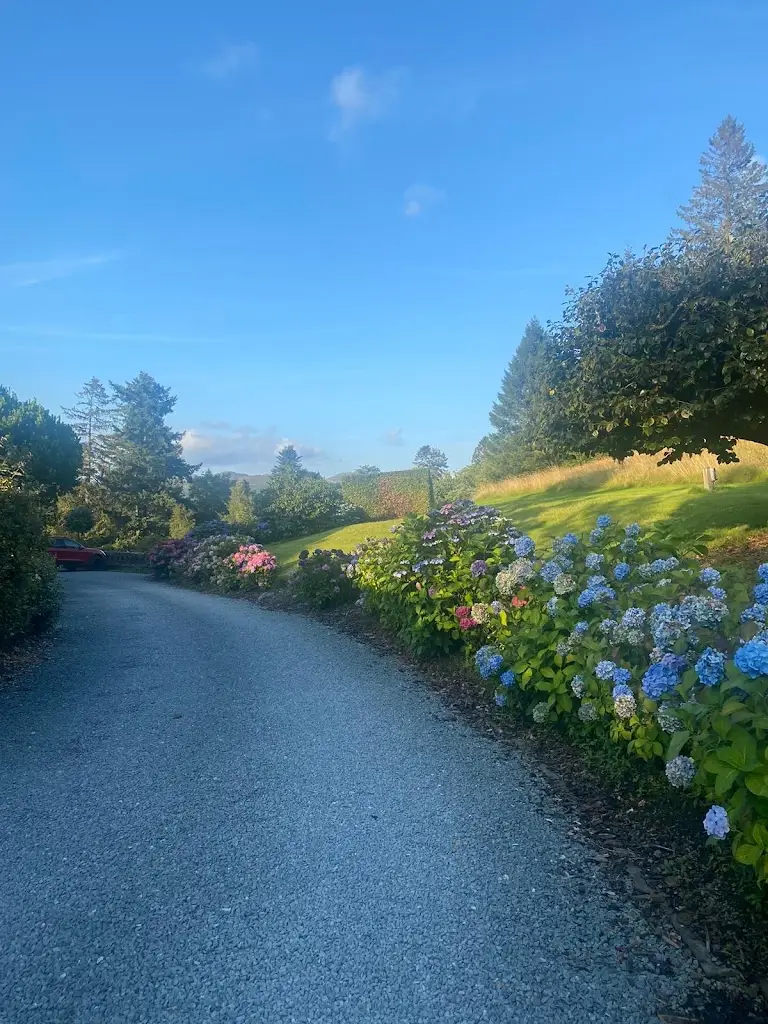 M Jones_Penmaenuchaf Hotel_Dolgellau_review