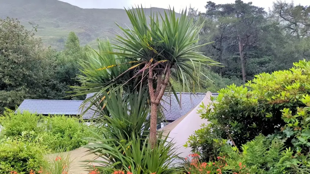 Leena Gale_Ty'n y Cornel Hotel & Restaurant_Dolgellau_review