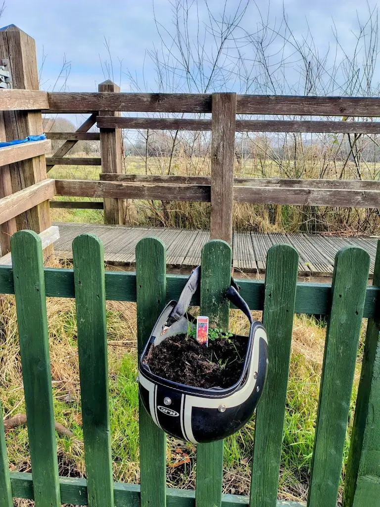 Keith Douglas_Ria's cafe_Bishops Waltham_review