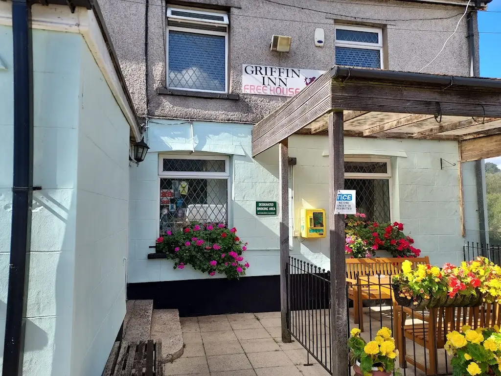 Julie Brown_Griffin Inn_Gilfach Goch_review