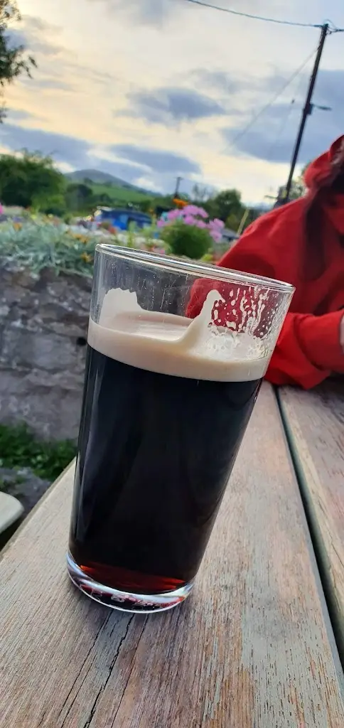 Menu_The Llindir Inn_Henllan_image_5