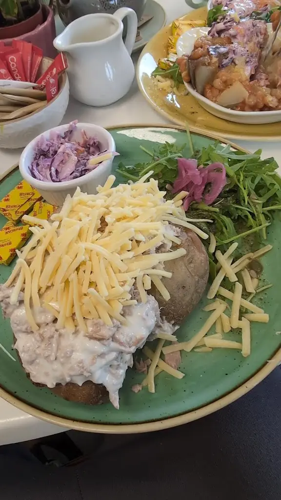 Paul Moore_Caffi Castell Harlech_Harlech_review