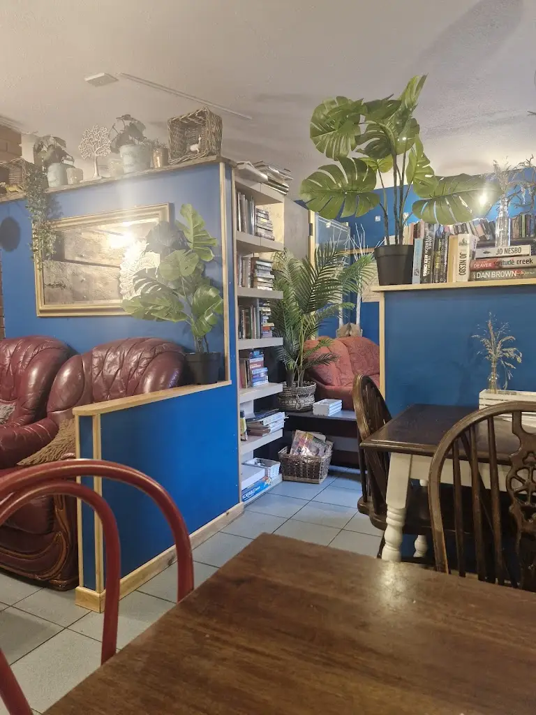 T E_Y Gwyllt Snowdonia_Harlech_review