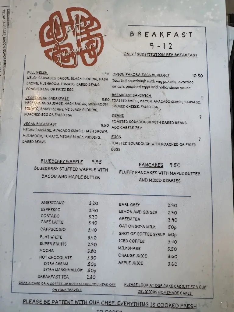 Chris Gledhill_Caffi Gwynant_Gwynedd_review