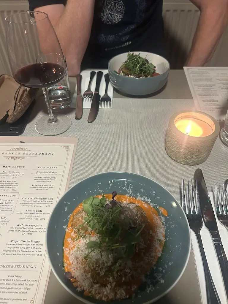 Kezia O'Halloran_Proper Gander_Gwynedd_review