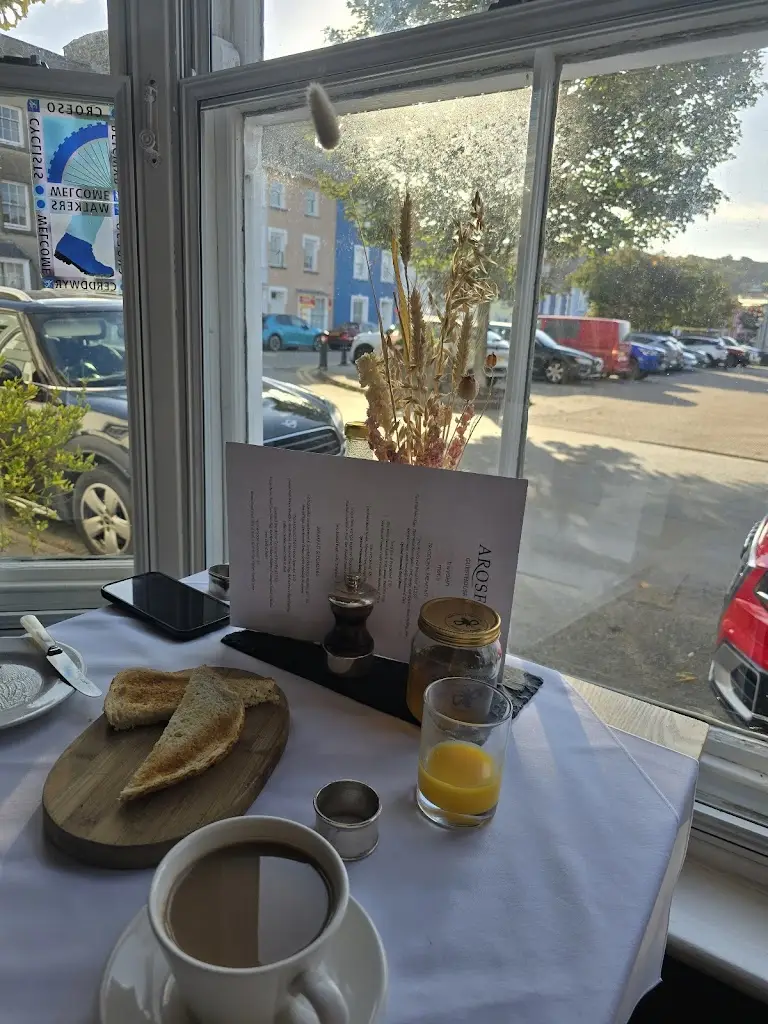 Amanda Qi Huang_Arosfa Harbourside _Llanarth_review