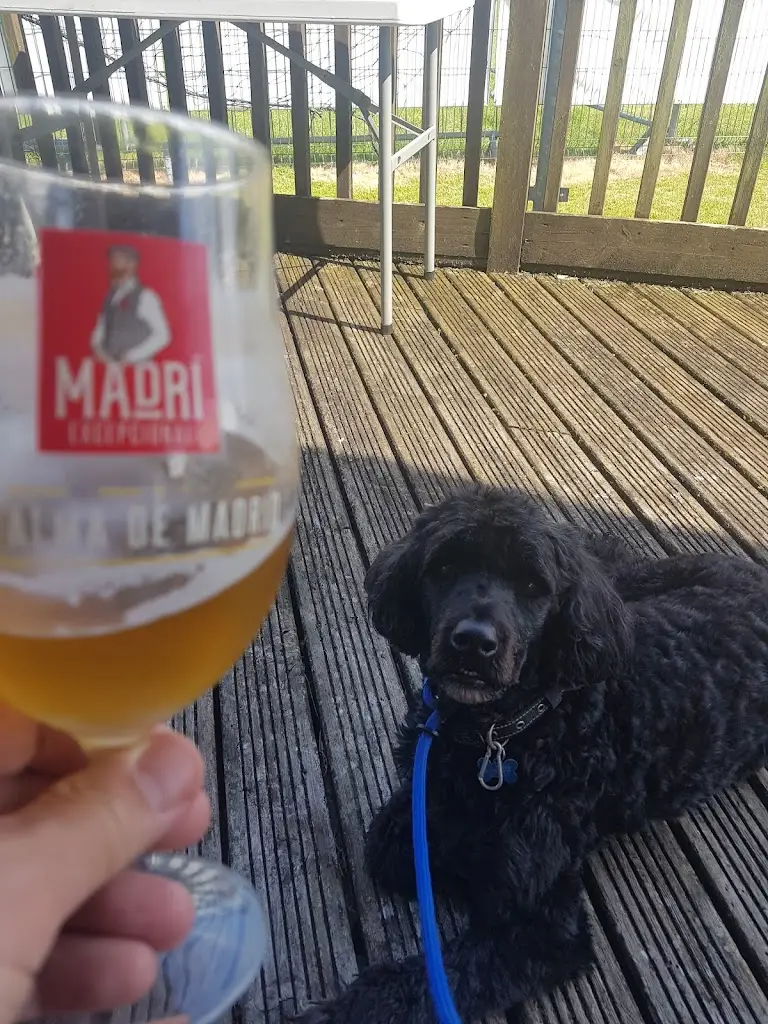 Willo's Bar and Diner restaurante en Gorseinon