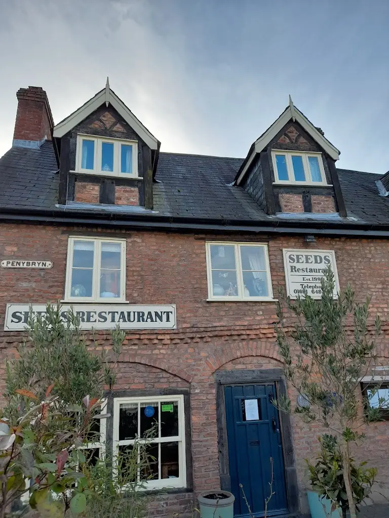 Seeds Restaurant_Llanfyllin_slider_image_2