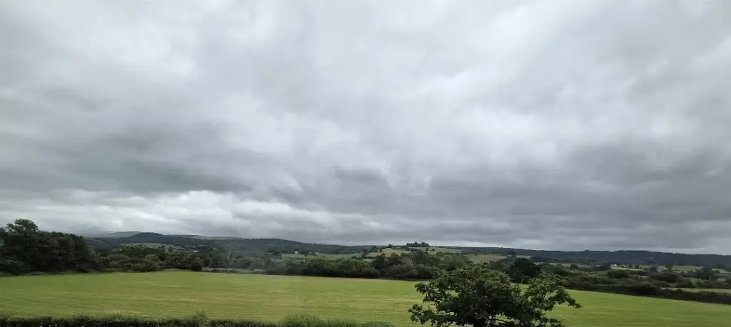 Tania Saeed_The Plough Hotel & Restaurant_Llandeilo_review