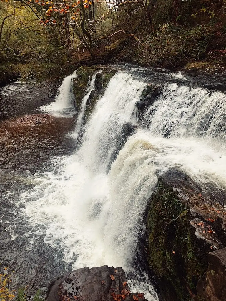 Jason Thomas_The White Horse_Llandeilo_review