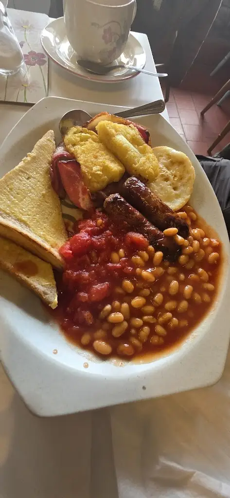 Paramita Dasgupta Ghosh_Gegin Fach_Llanrhaeadr-ym-Mochnant_review