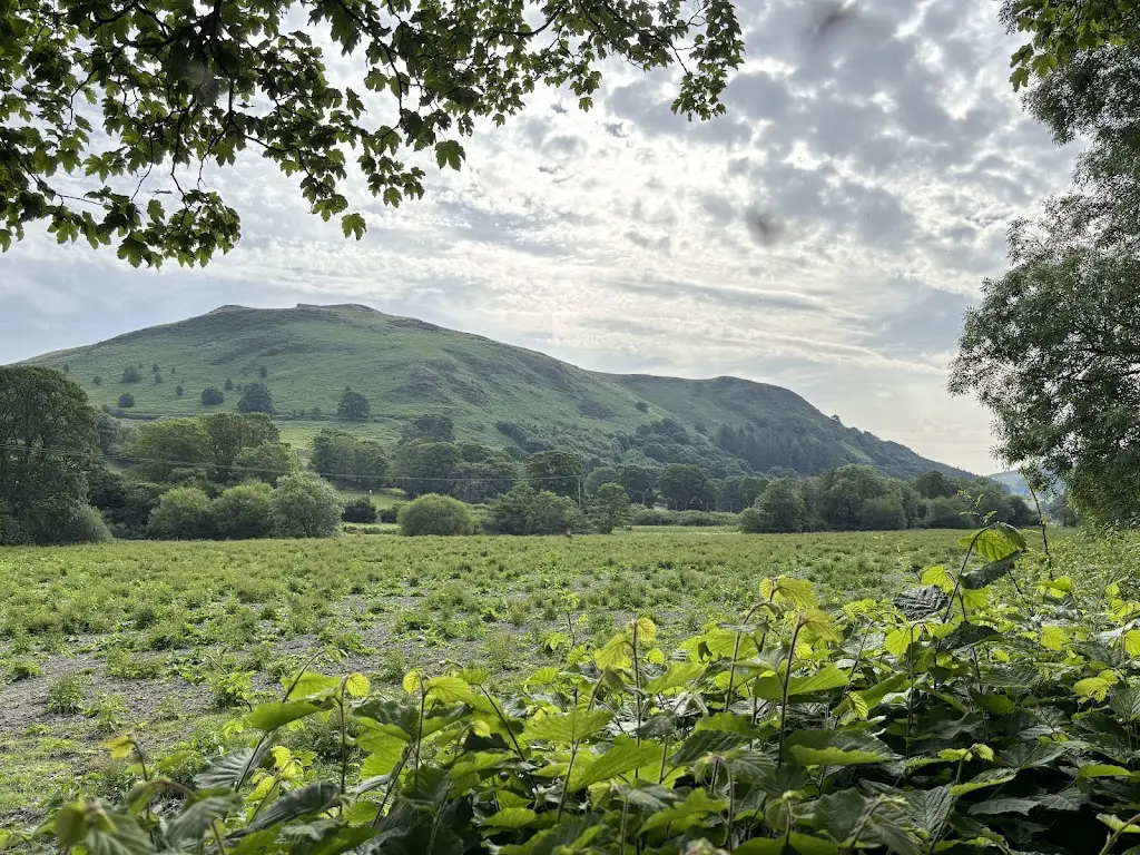 Sheridan Jones_The Hand at Llanarmon Ltd_Llanrhaeadr-ym-Mochnant_review