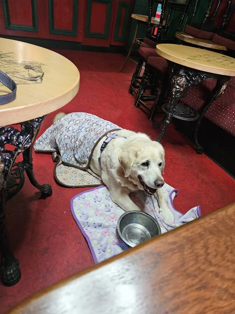 Lisa Boyer_Y Glyntwrog Inn_Llanrug_review