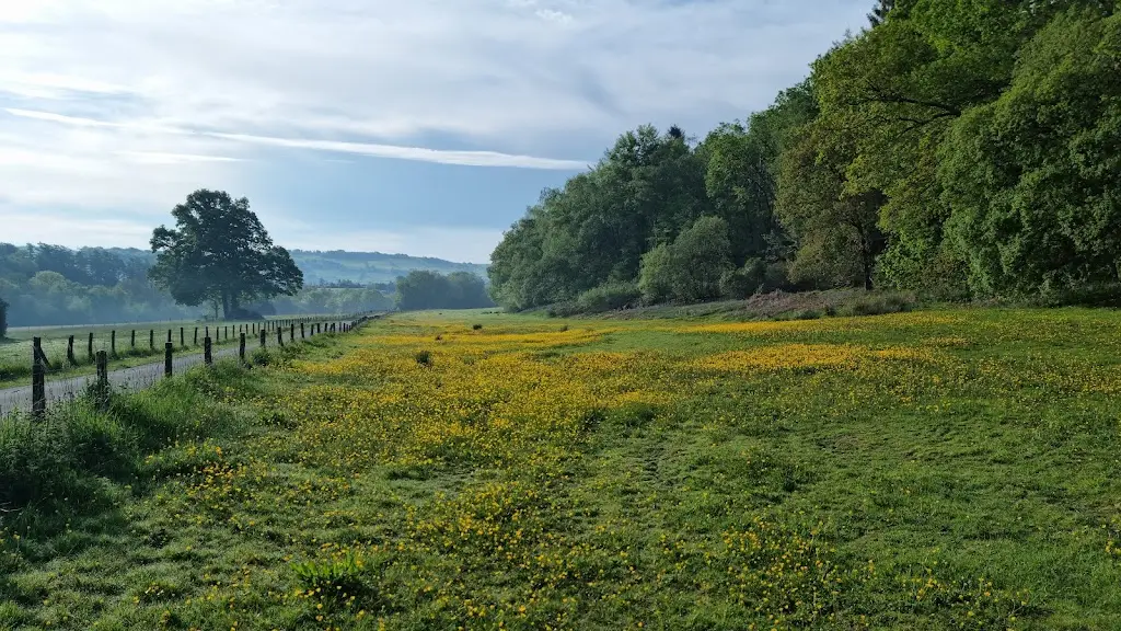 David Dean_The Falcondale_Llandovery_review