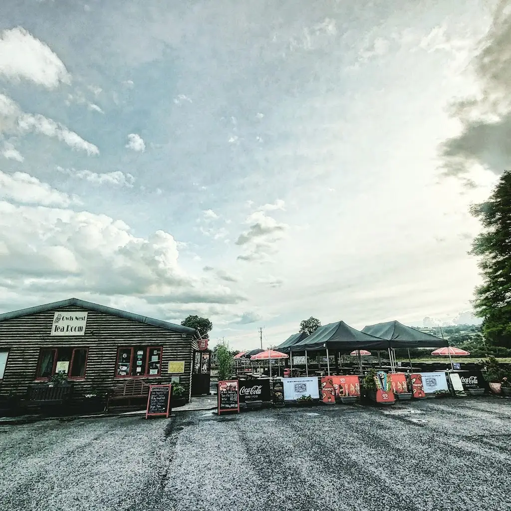 Owls Nest Tea Room Diner_Llandovery_slider_image_3