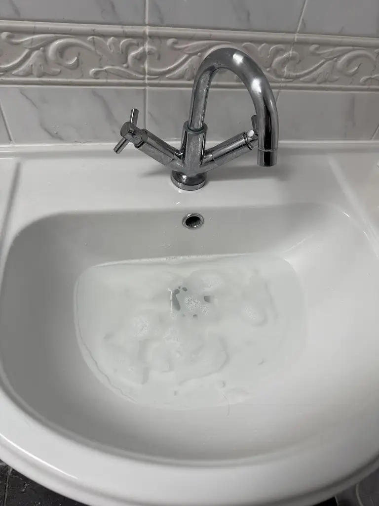 Lina Borraine_The Kings Head Inn_Llandovery_review