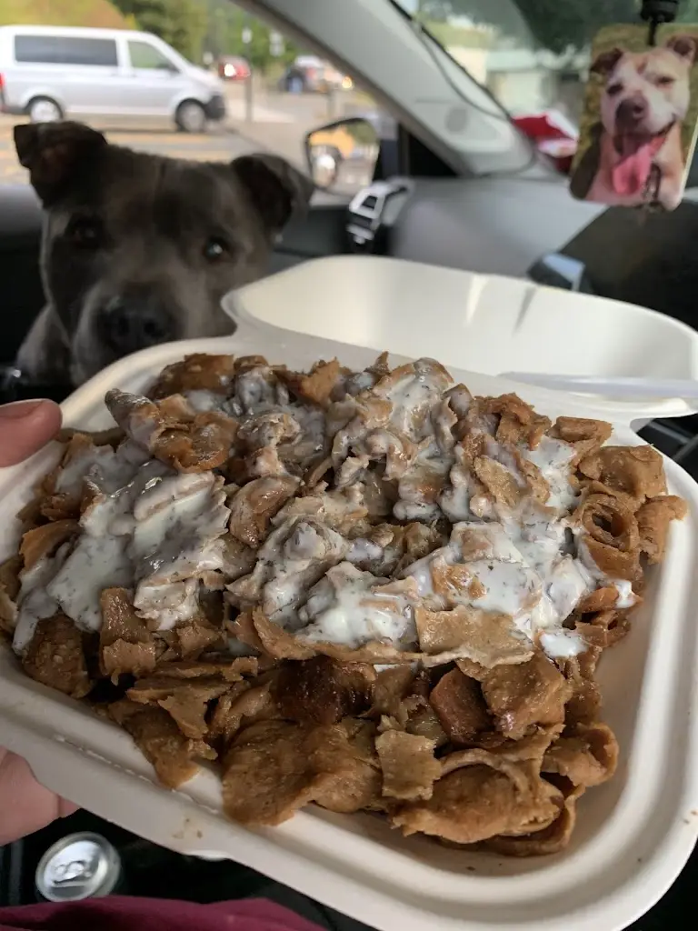 Lee Bengough_Ozzys Kebab & Pizza_Llandovery_review