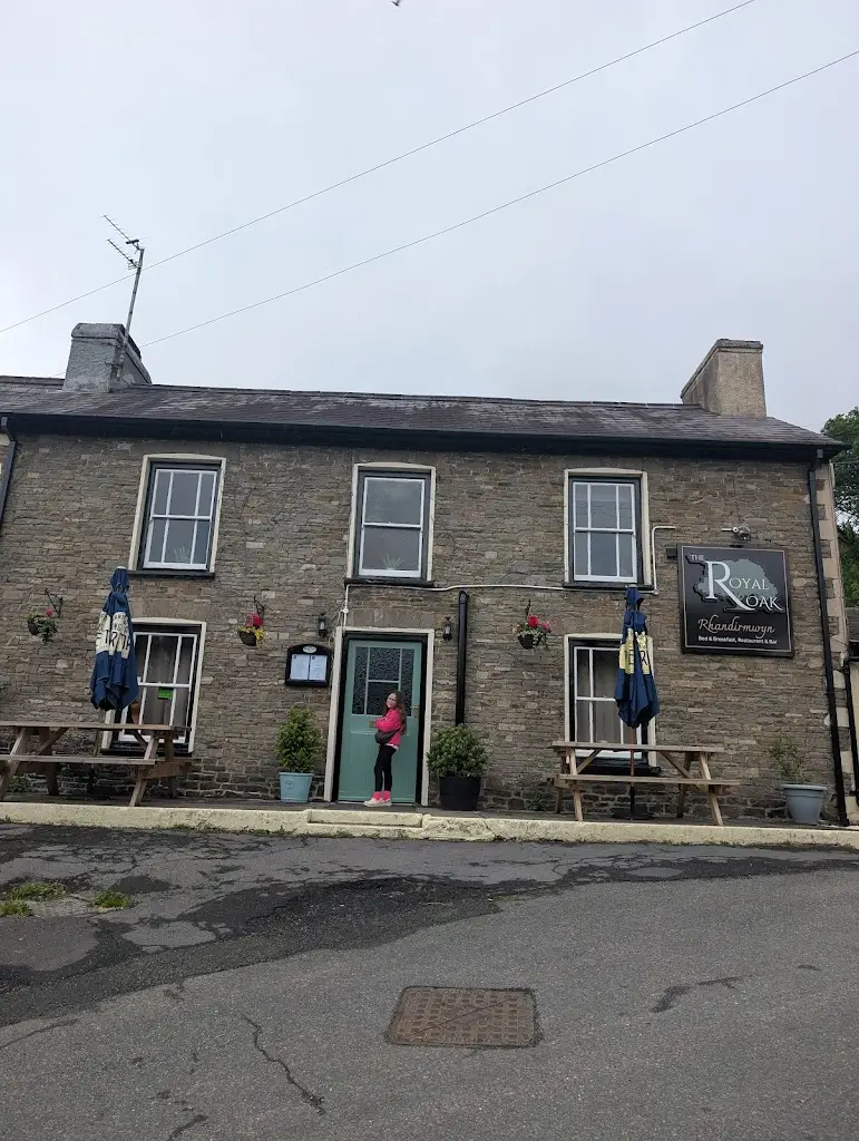 Laura Crawley_The Royal Oak Inn_Llandovery_review