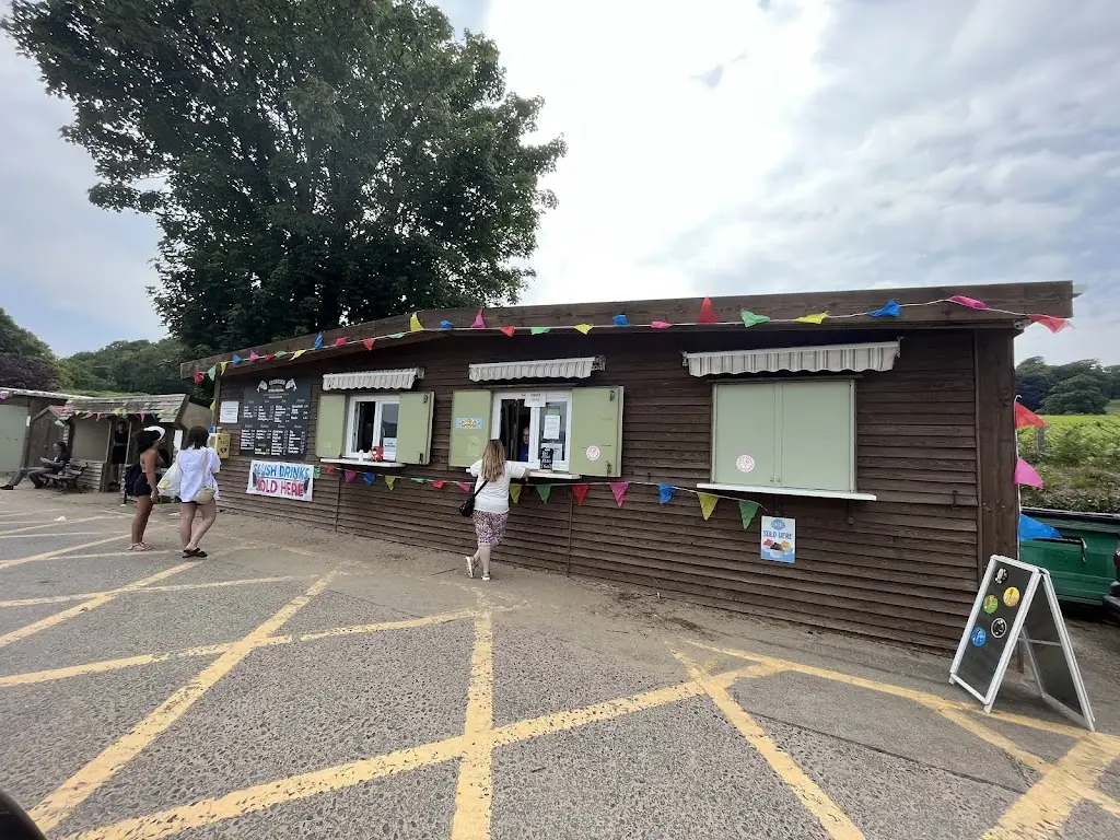 Charlotte Nelis_Florries fish and chips_Llansteffan_review