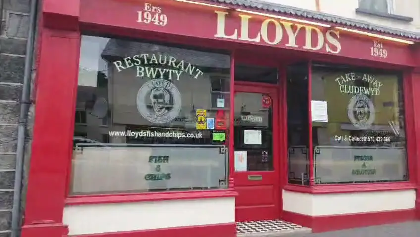 bright star_Mulberry Bush Wholefoods_Lampeter_review