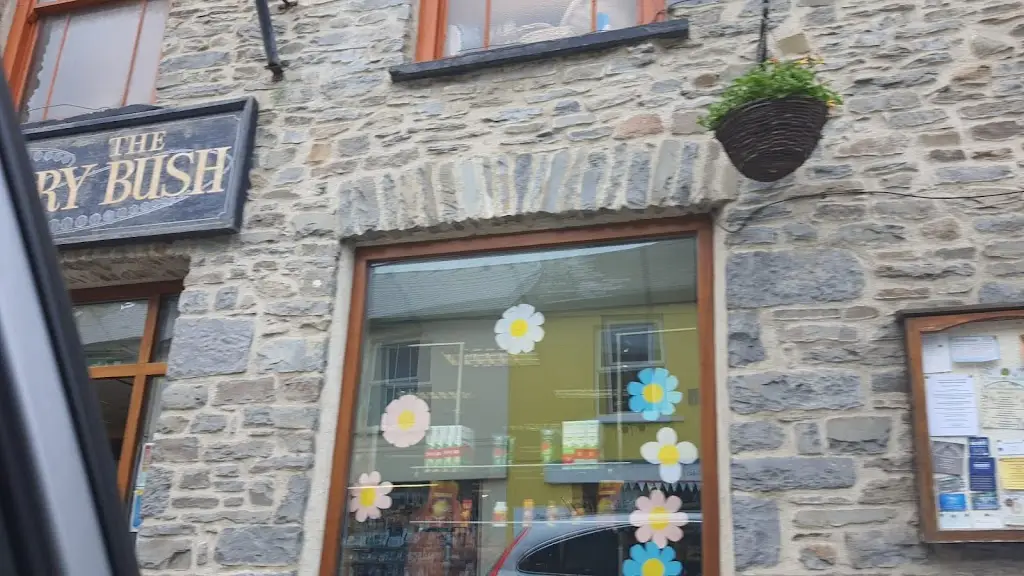 Mulberry Bush Wholefoods restaurant in Lampeter