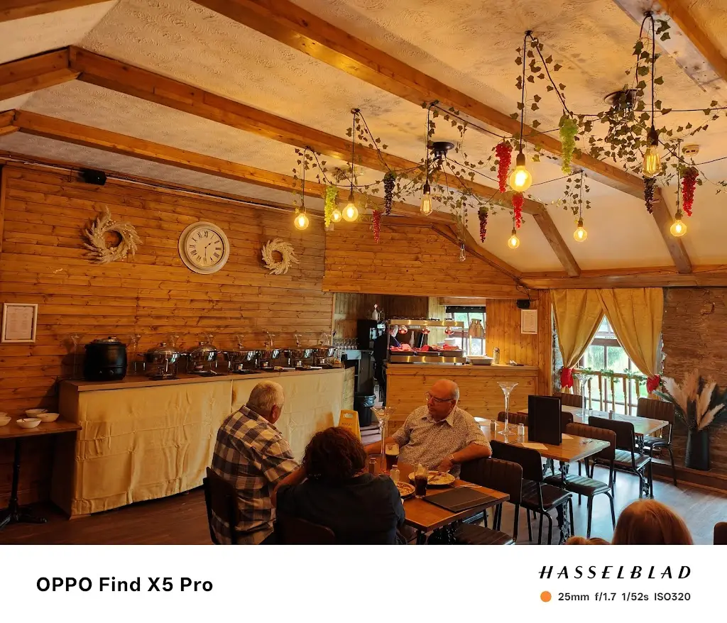 Ludejano Elta_The Brown Trout Pub_Llantwit Fardre_review