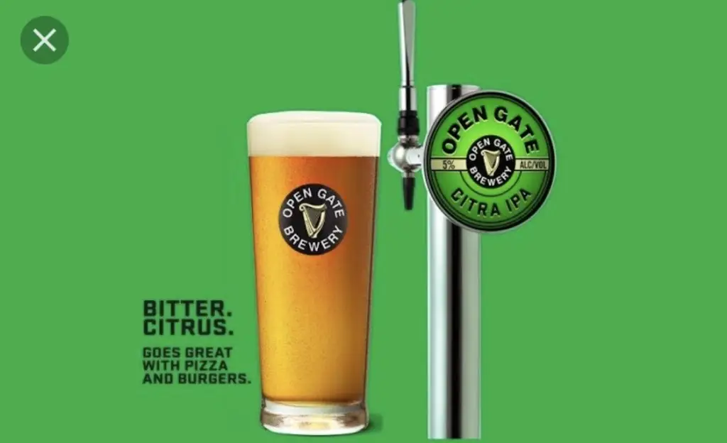 Menu_The Penny Farthing_Llantrisant_image_7