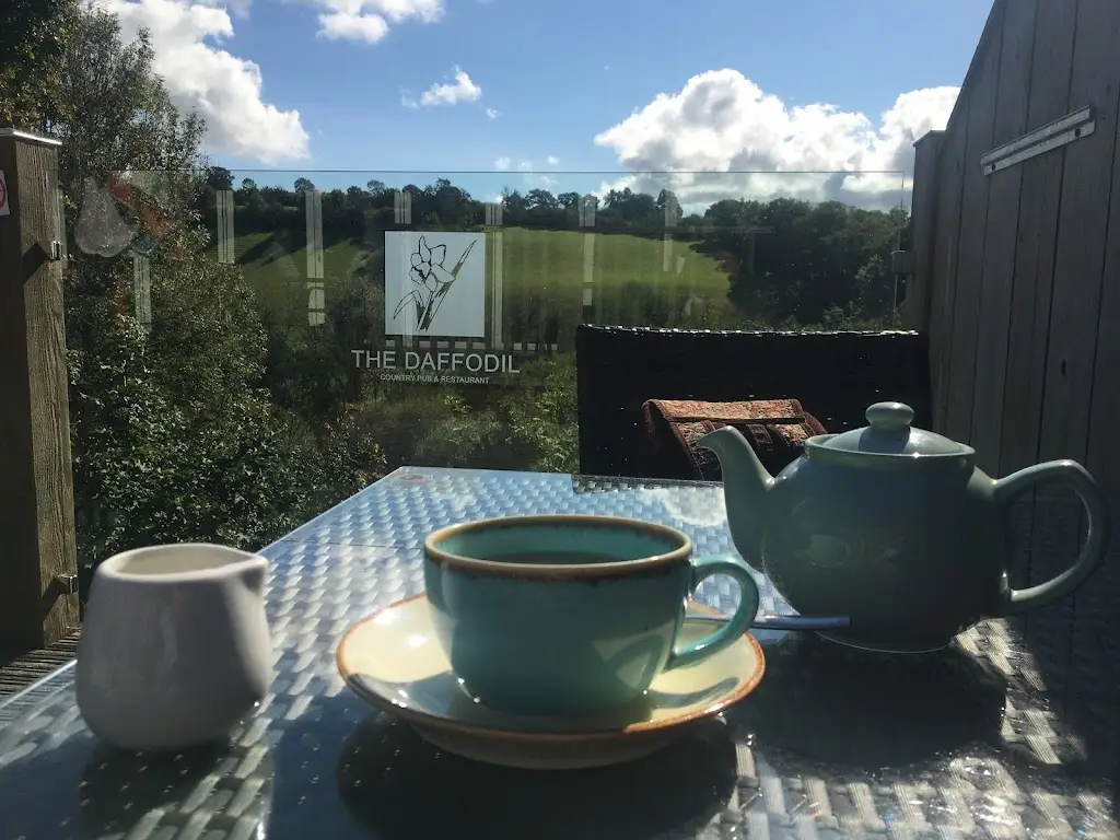 Lisa Cherry Beaumont_Daffodil Inn, Penrhiwllan_Llandysul_review