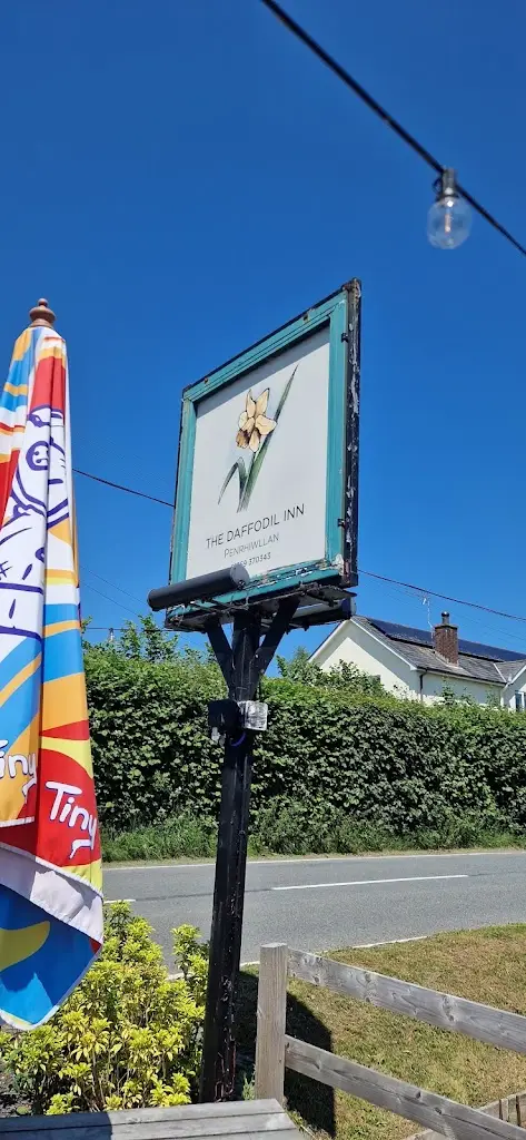 Stuart Collier_Daffodil Inn, Penrhiwllan_Llandysul_review