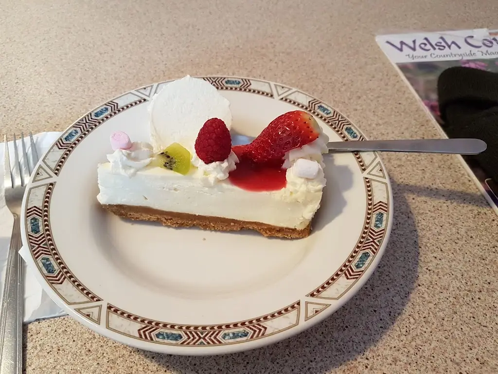 Menu_Buon Appetito_Llandysul_image_8