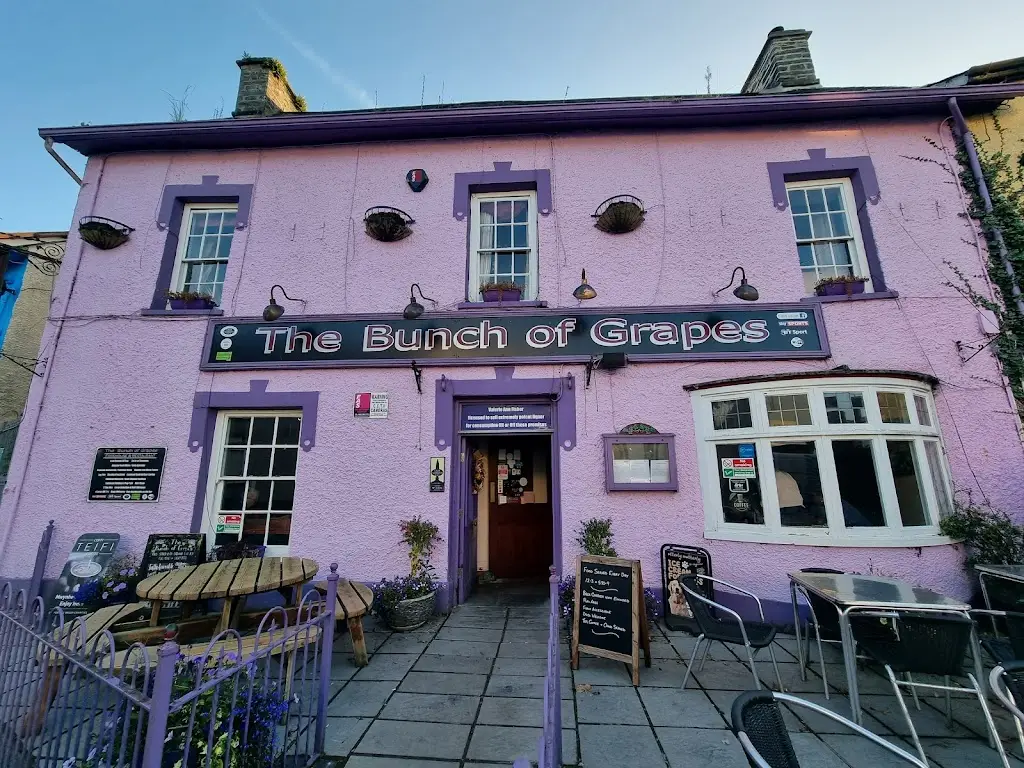 Hannah's Adventures in Nature_The Bunch of Grapes_Llandysul_review