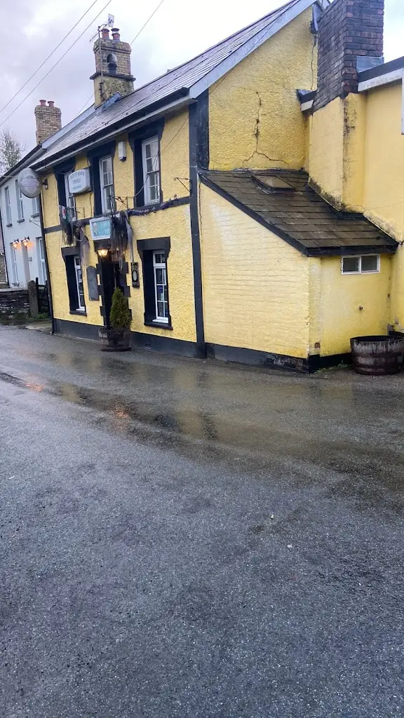 Suzan Evolves_Tafarn John Y Gwas_Llandysul_review